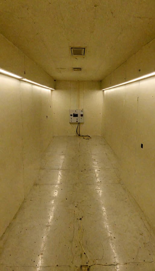 pass-02 image channel, source frame 8,041