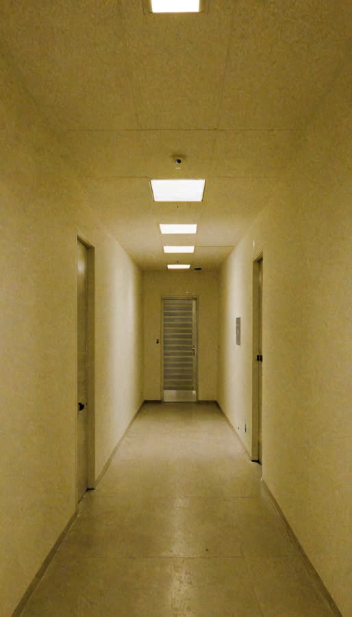 pass-02 image channel, source frame 8,089