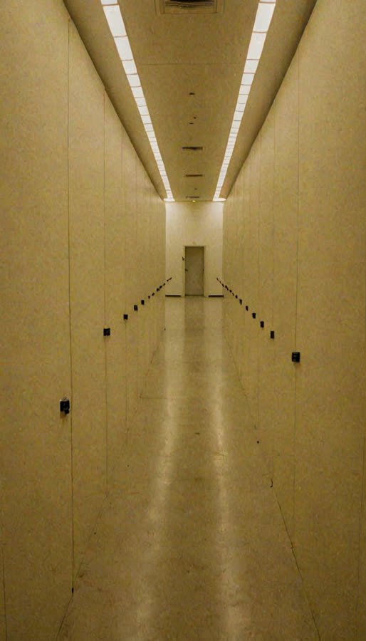 pass-02 image channel, source frame 9,481