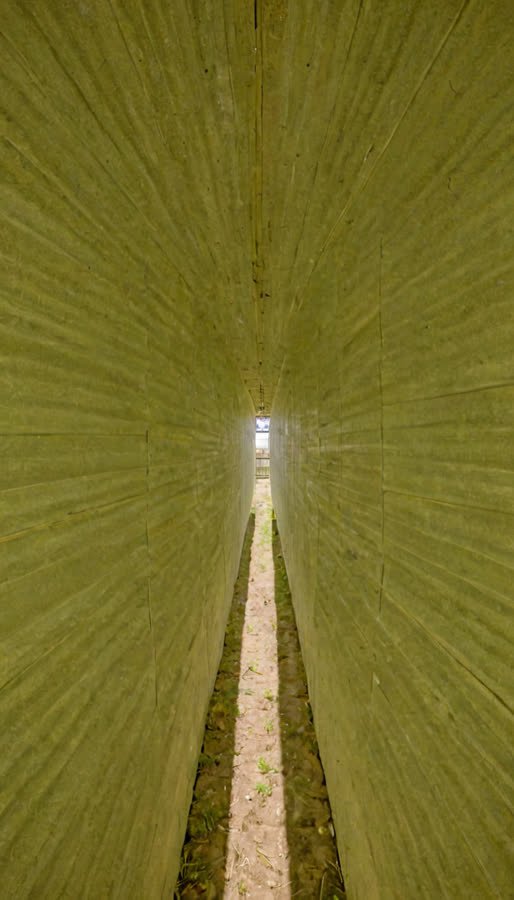 pass-02 image channel, source frame 13,537