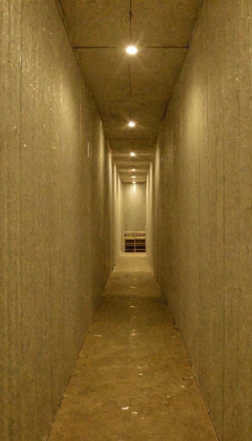 pass-02 image channel, source frame 40,561
