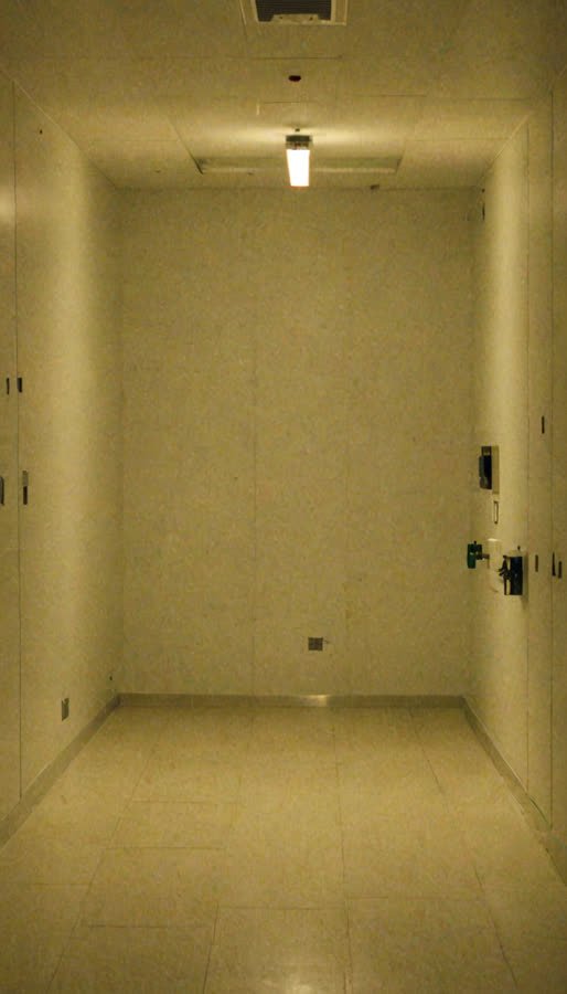 pass-08 image channel, source frame 961