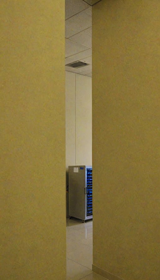 pass-08 image channel, source frame 2,041