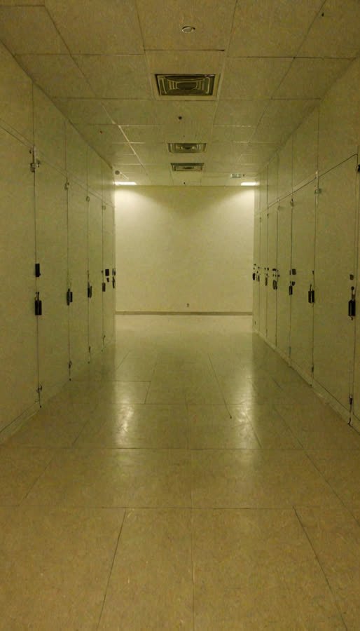 pass-08 image channel, source frame 3,049